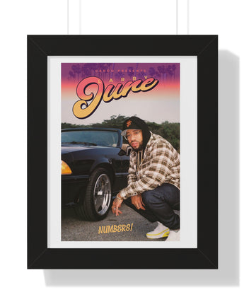 Larry June Framed Poster